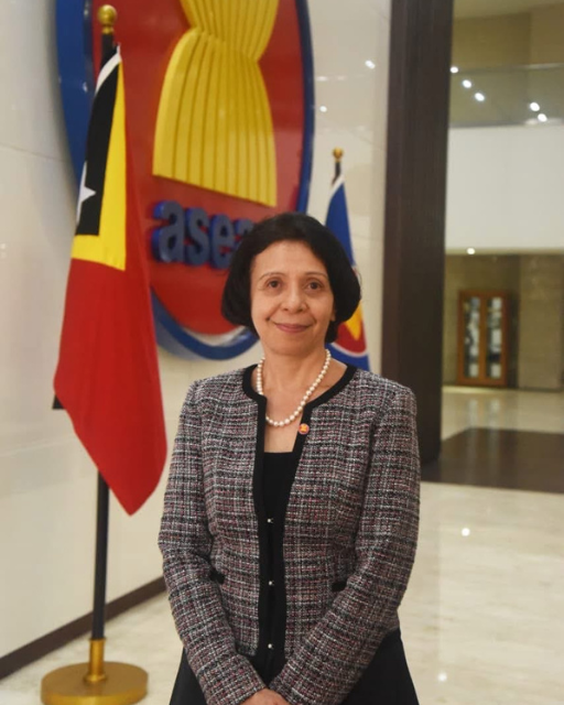 H.E. Natércia Cipriana Coelho da Silva